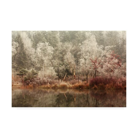 Trademark Fine Art Anton Van Dongen 'Frozen Forest Cover' Canvas Art, 12x19 1X09037-C1219GG